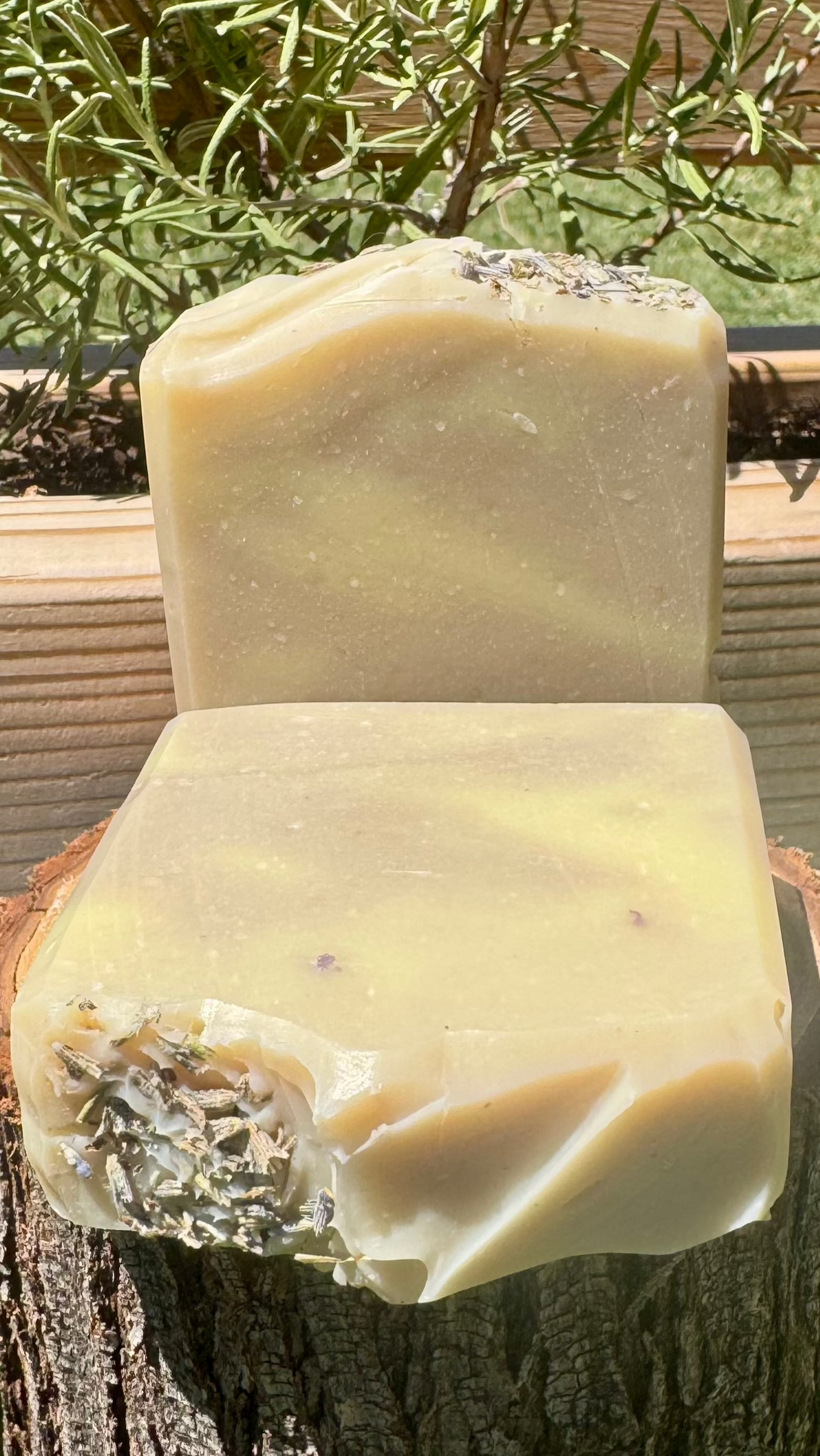Pure Lavender Bar